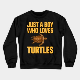 Marine Biologist Biology Turtles Fathers Day Gift Funny Retro Vintage Crewneck Sweatshirt